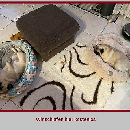Stadt-Gut-Hotel Rheinischer Hof Essen Ngoại thất bức ảnh